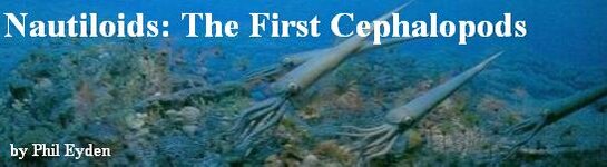 Nautiloids: The First Cephalopods