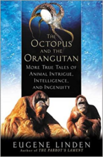 The Octopus and the Orangutan (Book)