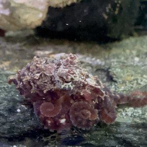 IMG_5877.jpeg
