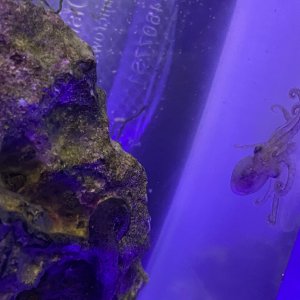 IMG_3661.jpeg