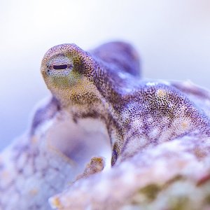 040925 DSC01900b.jpg