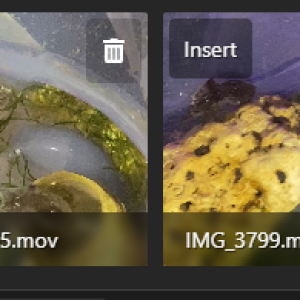 1744317626141.png