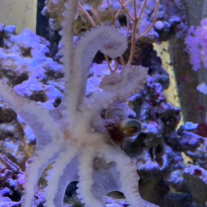 IMG_2252.jpeg