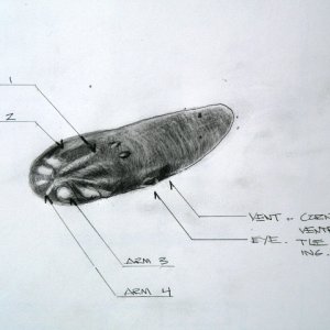conv_290588.jpg