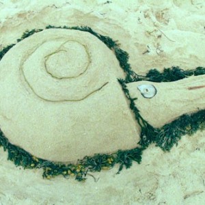 Nautilus Sand Scultpure