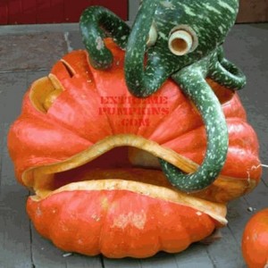 Silly Pumpkin n'gourd..