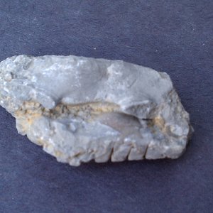 conv_298087.jpg