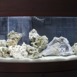 conv_300881.jpg