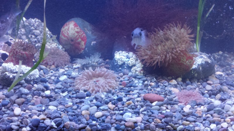 20140228_101614.jpg