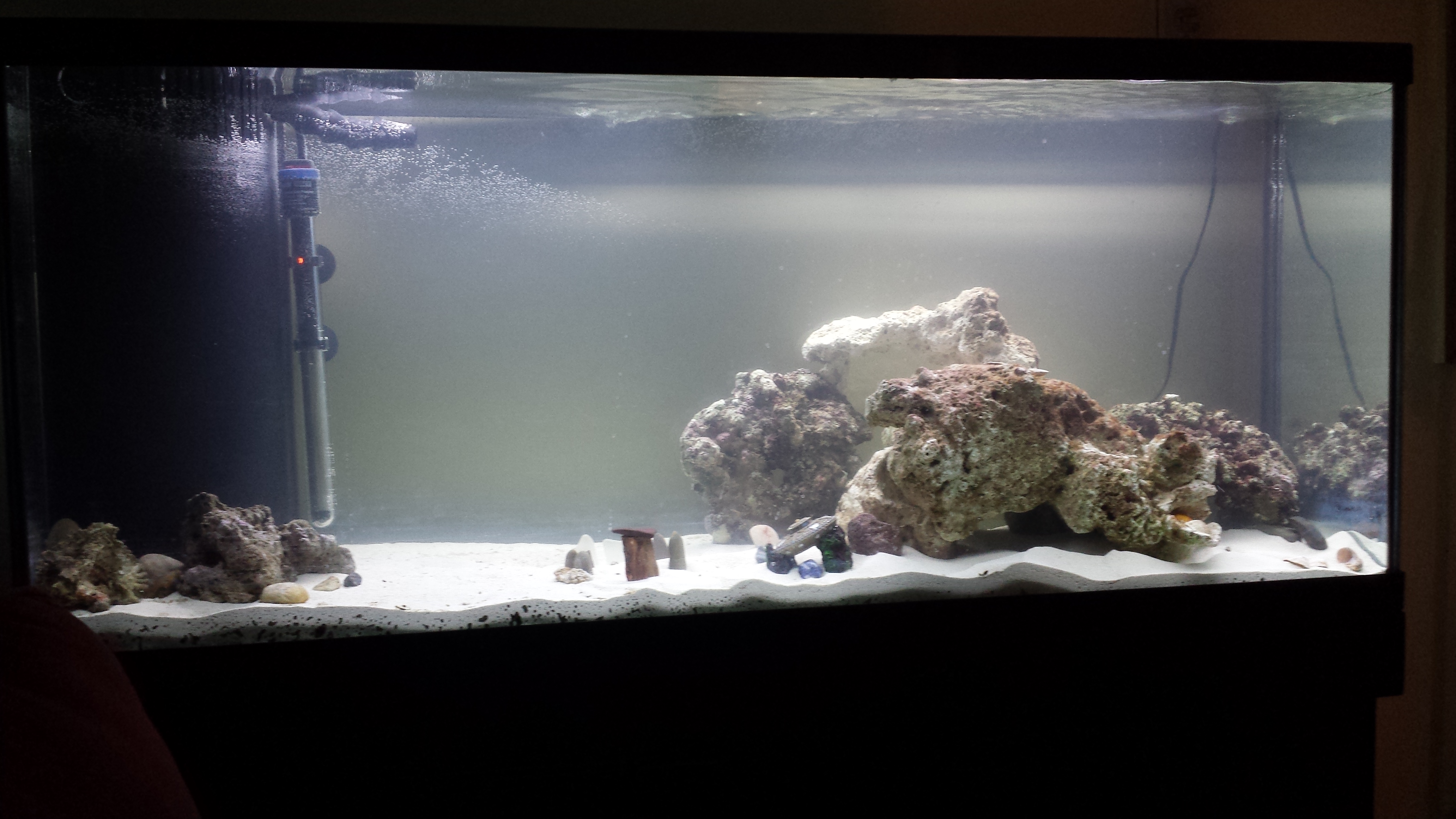 20150304_183852.jpg