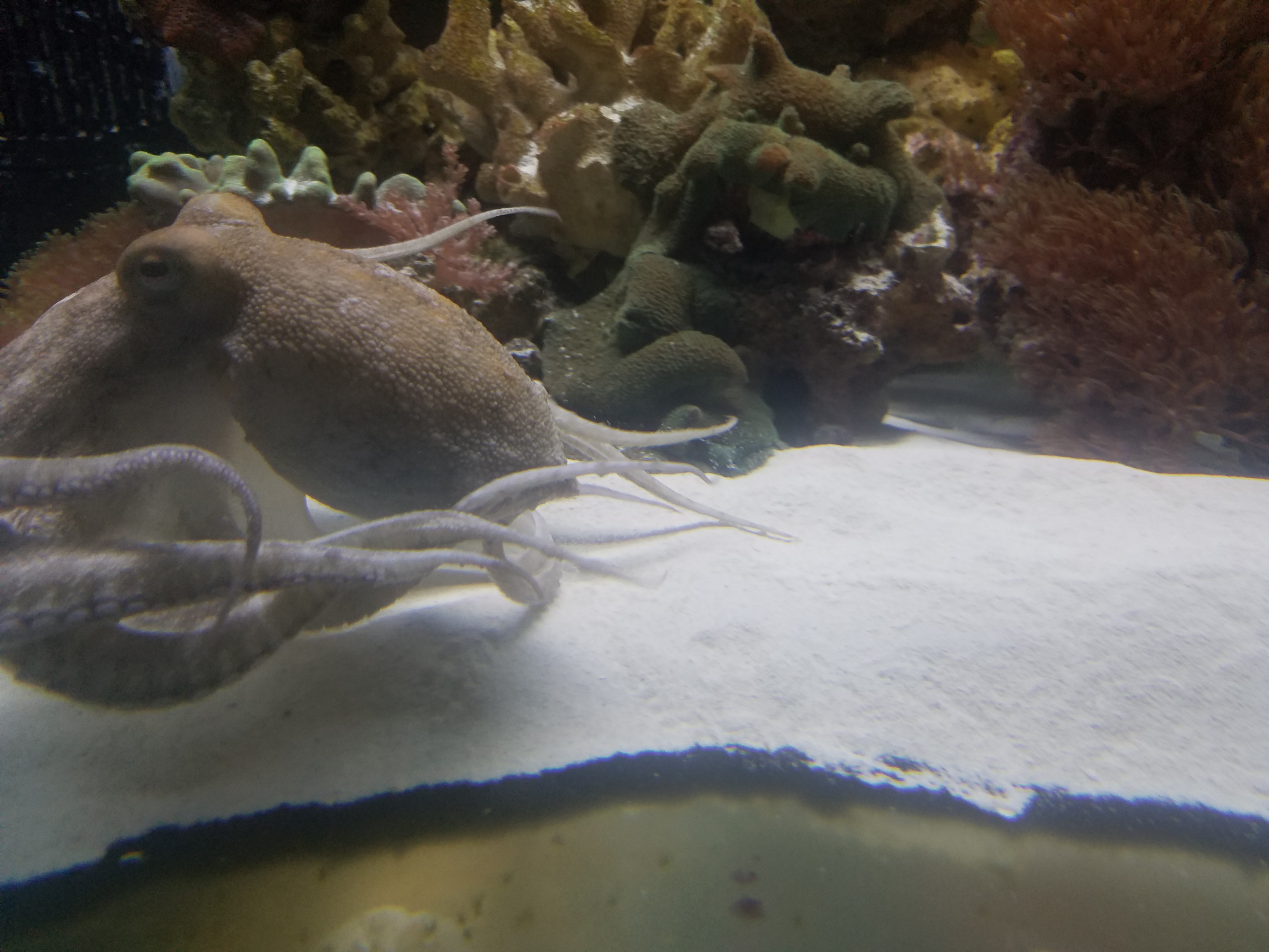 20170106_202756.jpg