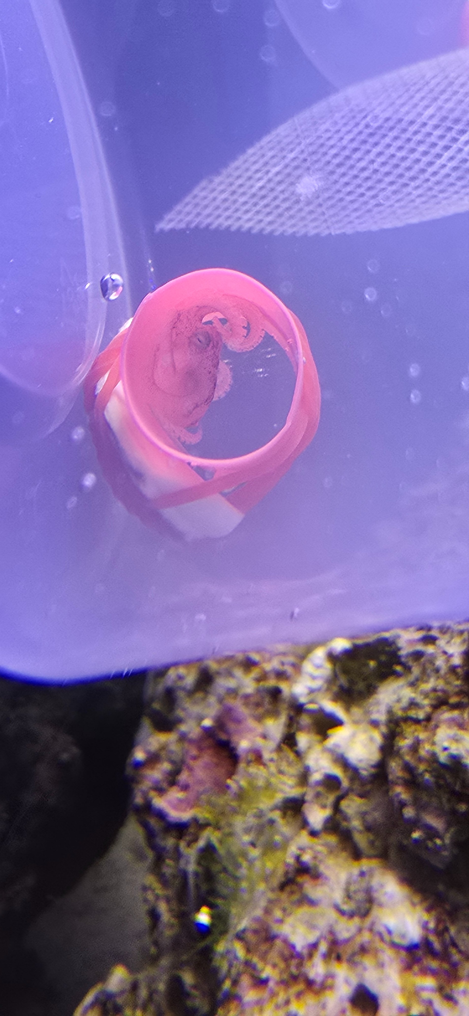 20250222_132831.jpg