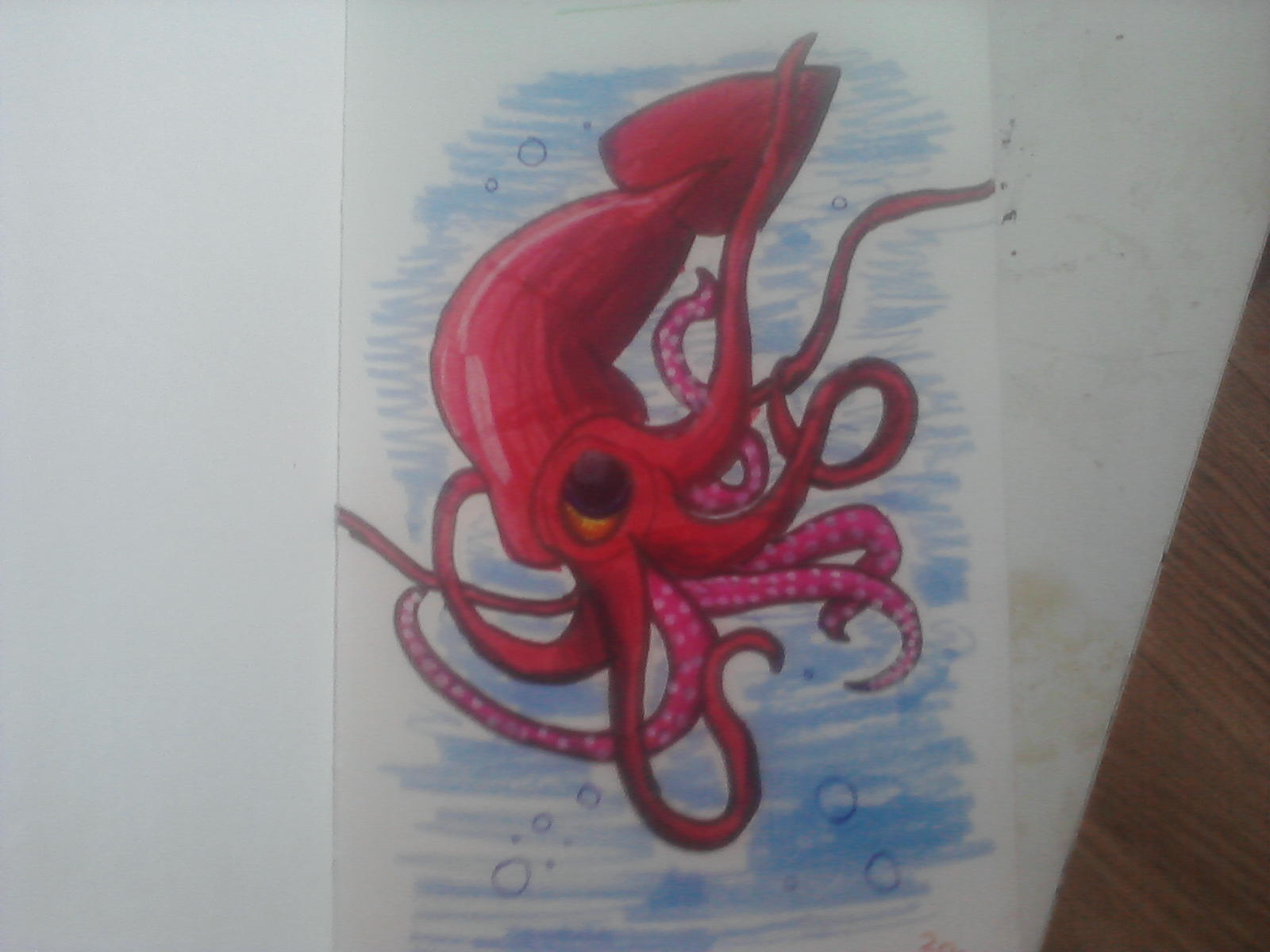 cartoon squid