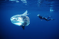conv_290582.jpg