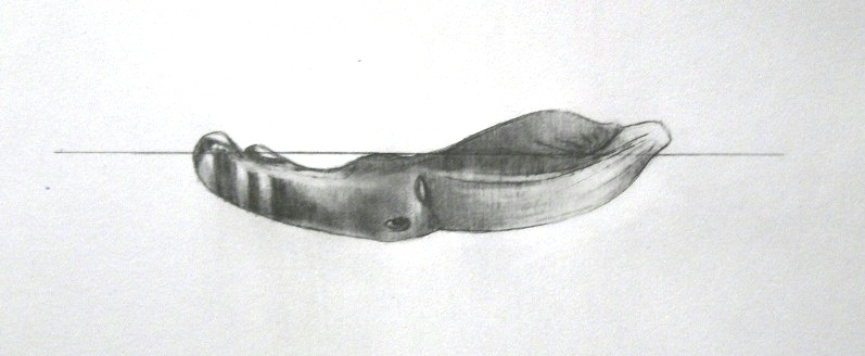 conv_290597.jpg