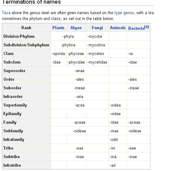 conv_291625.jpg