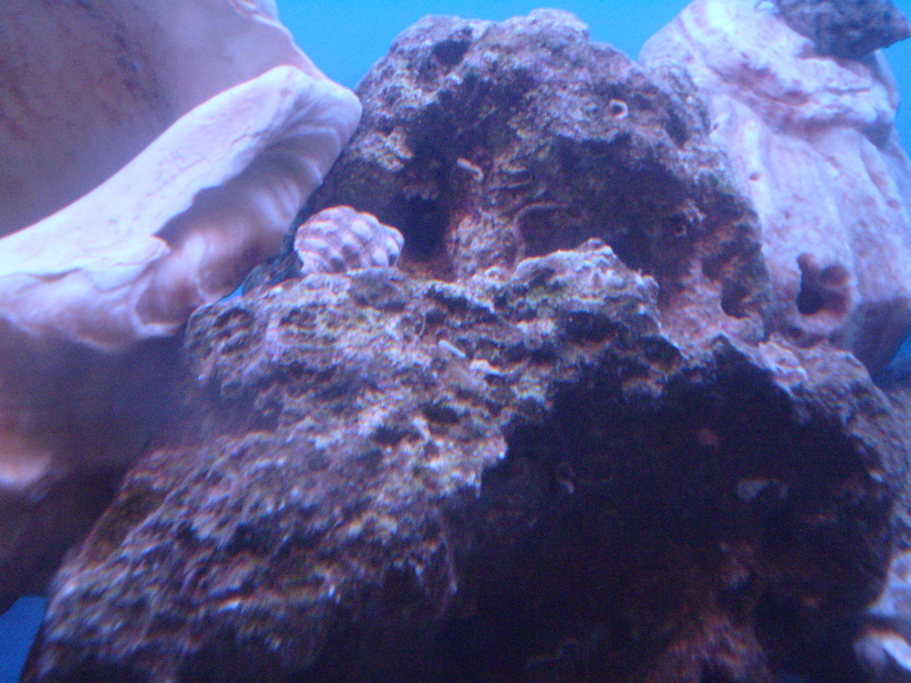 conv_294511.jpg