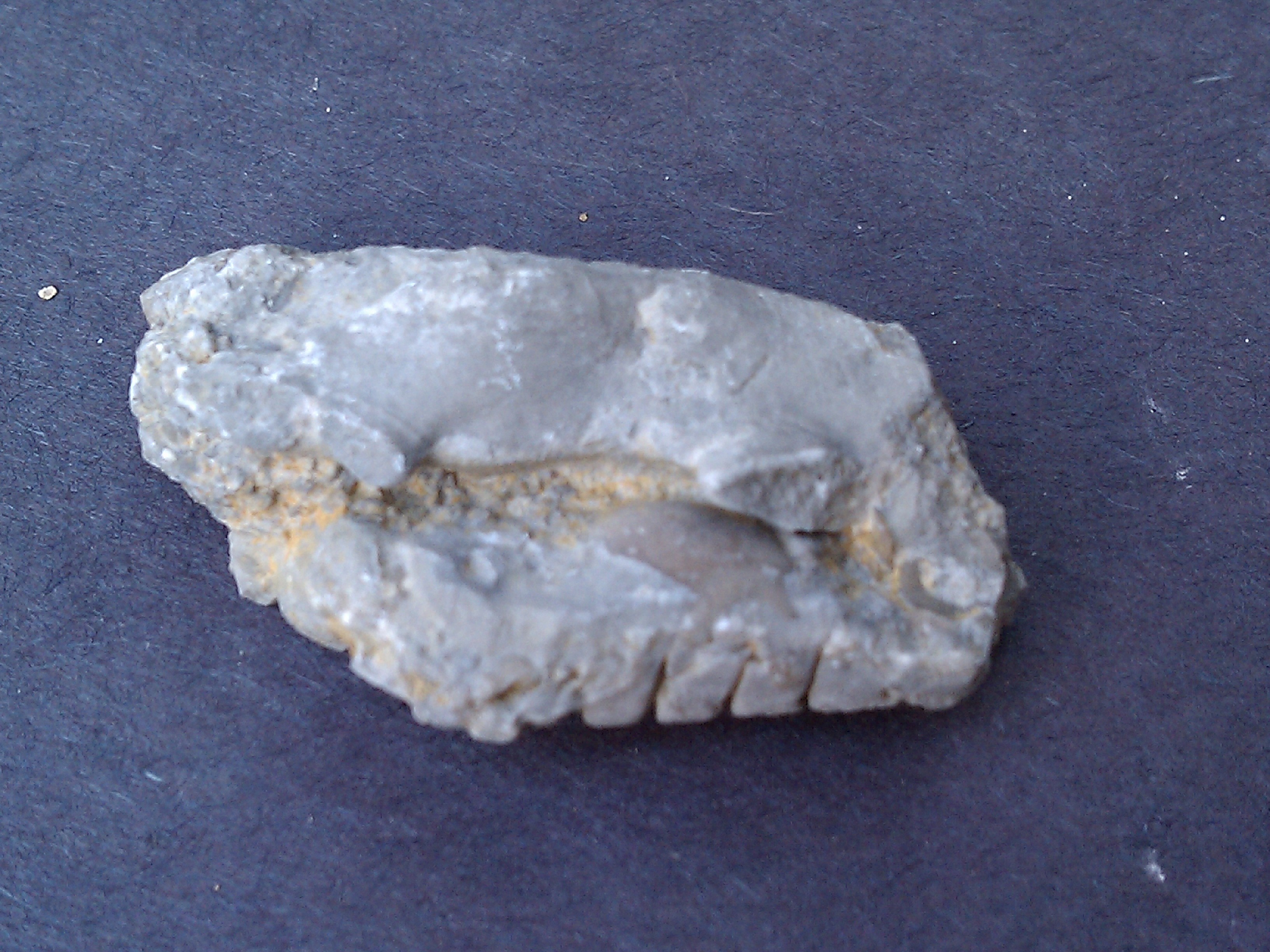 conv_298087.jpg