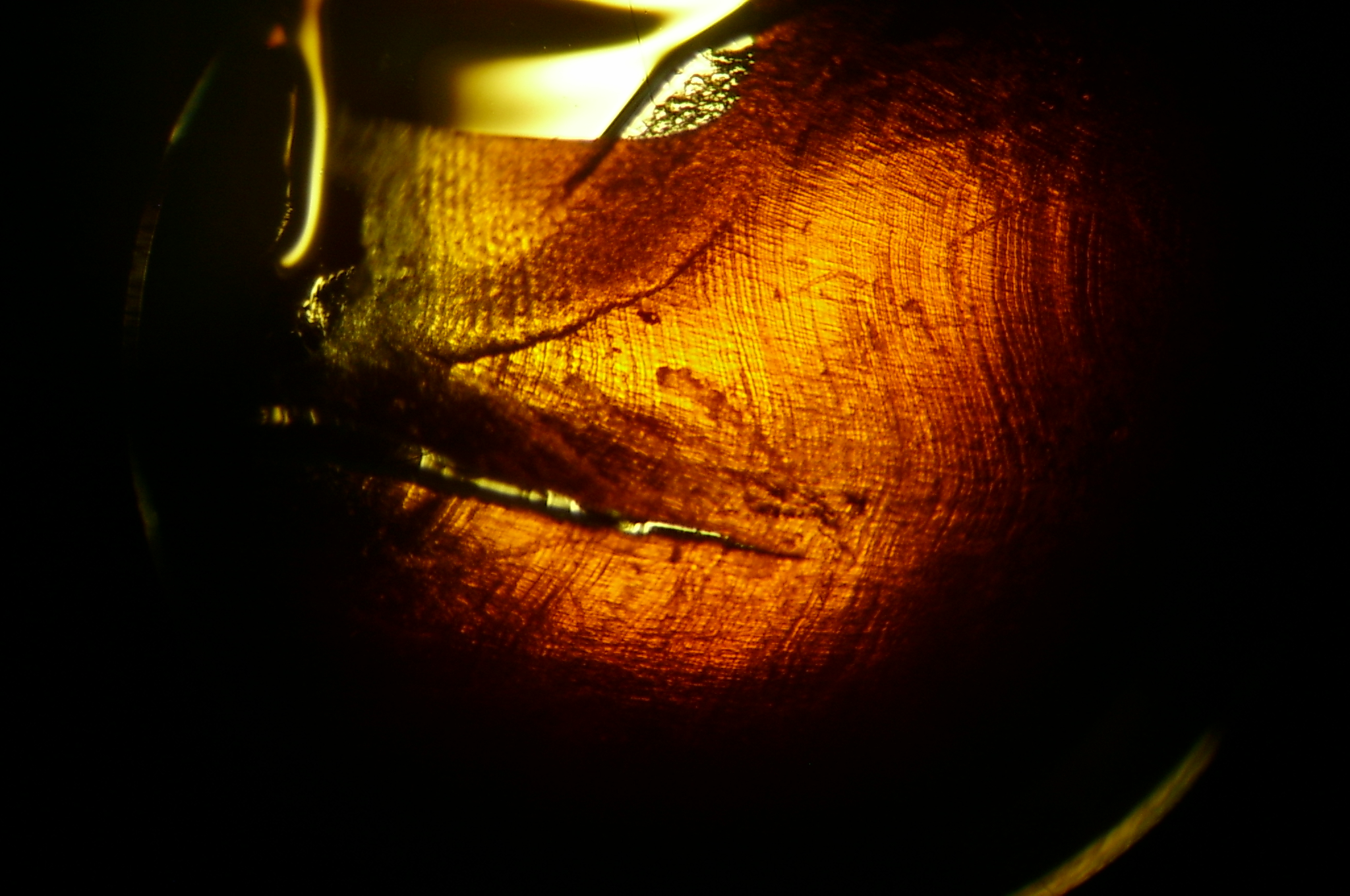 conv_300387.jpg