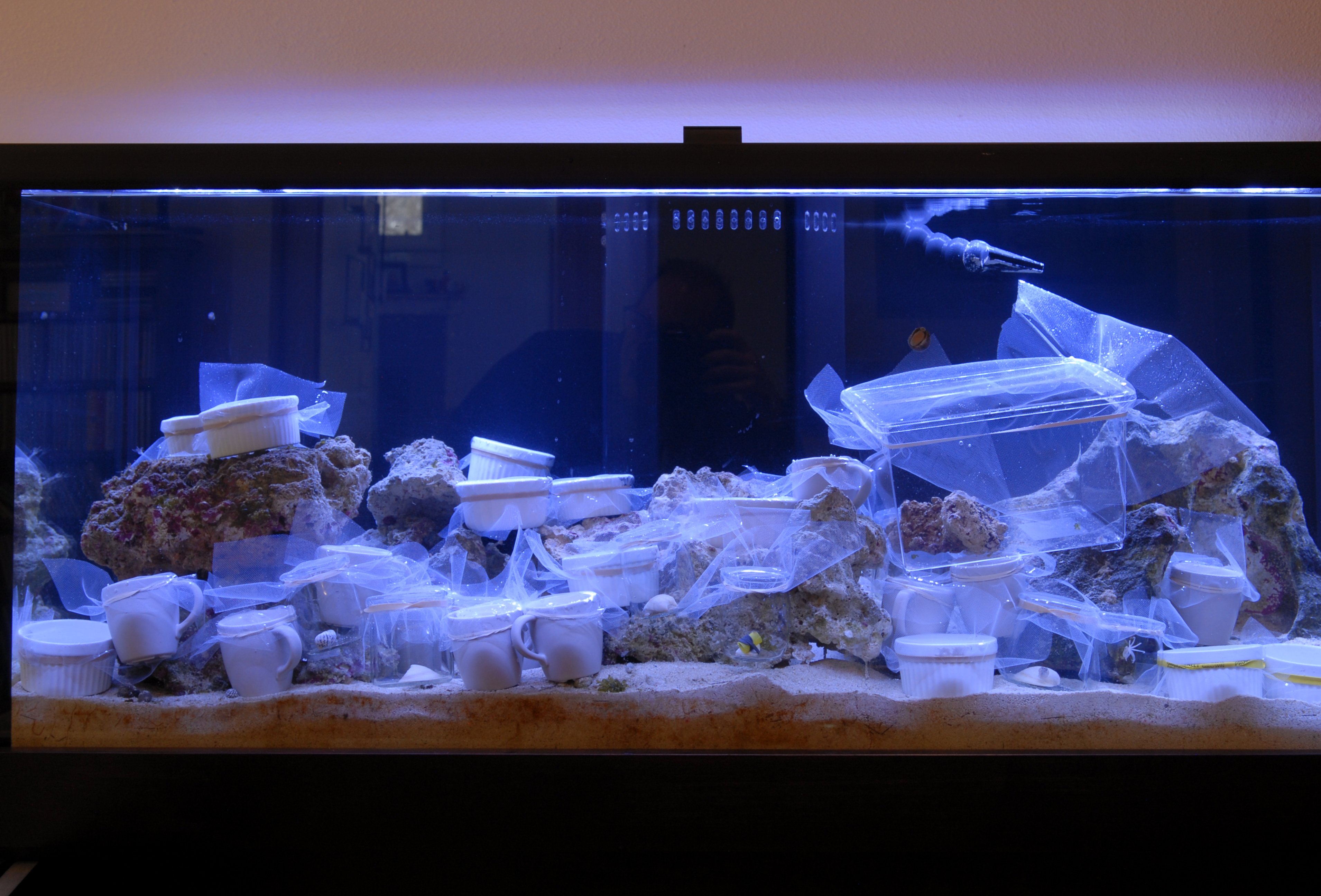 DSC_0013b.jpg