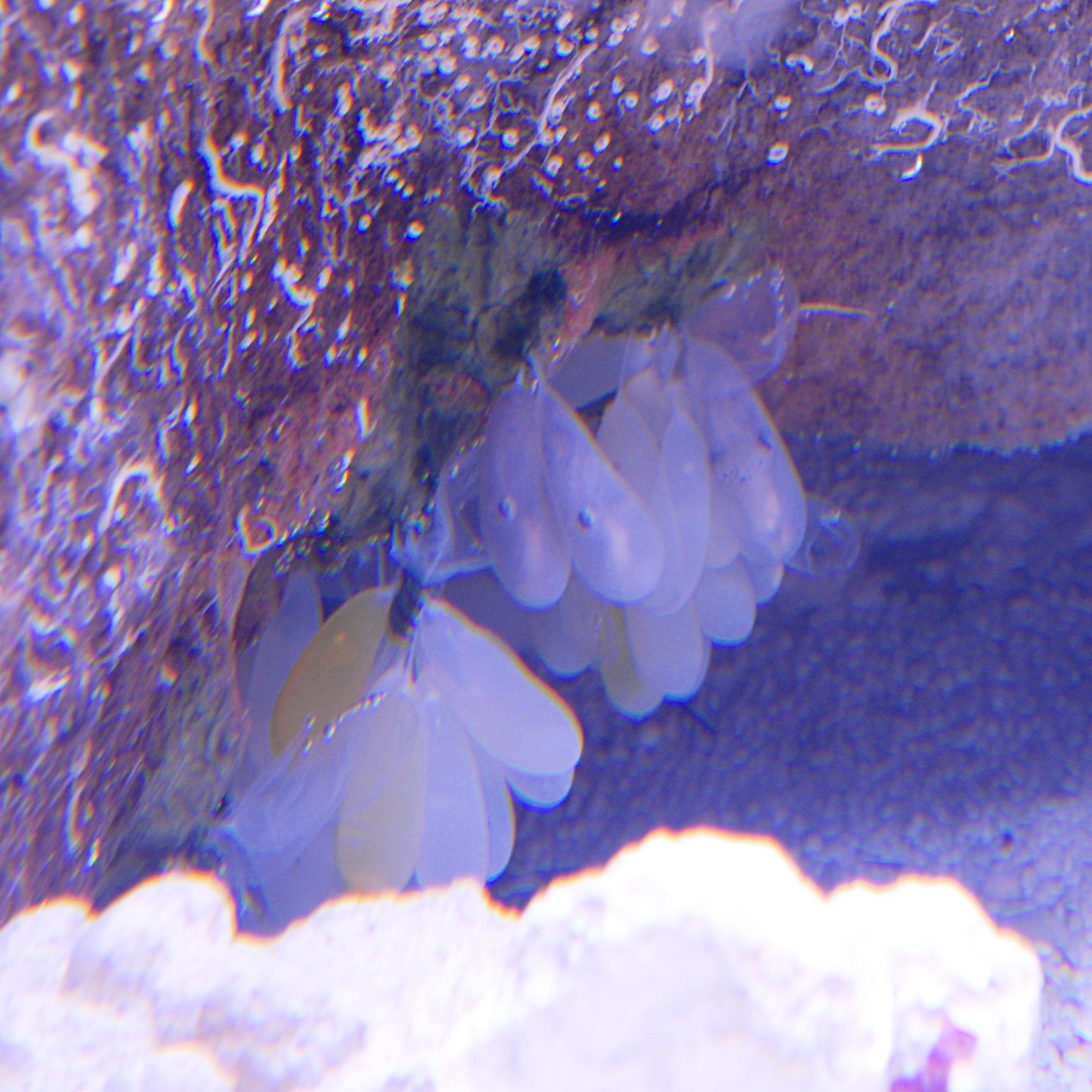 eggs 021425.jpg