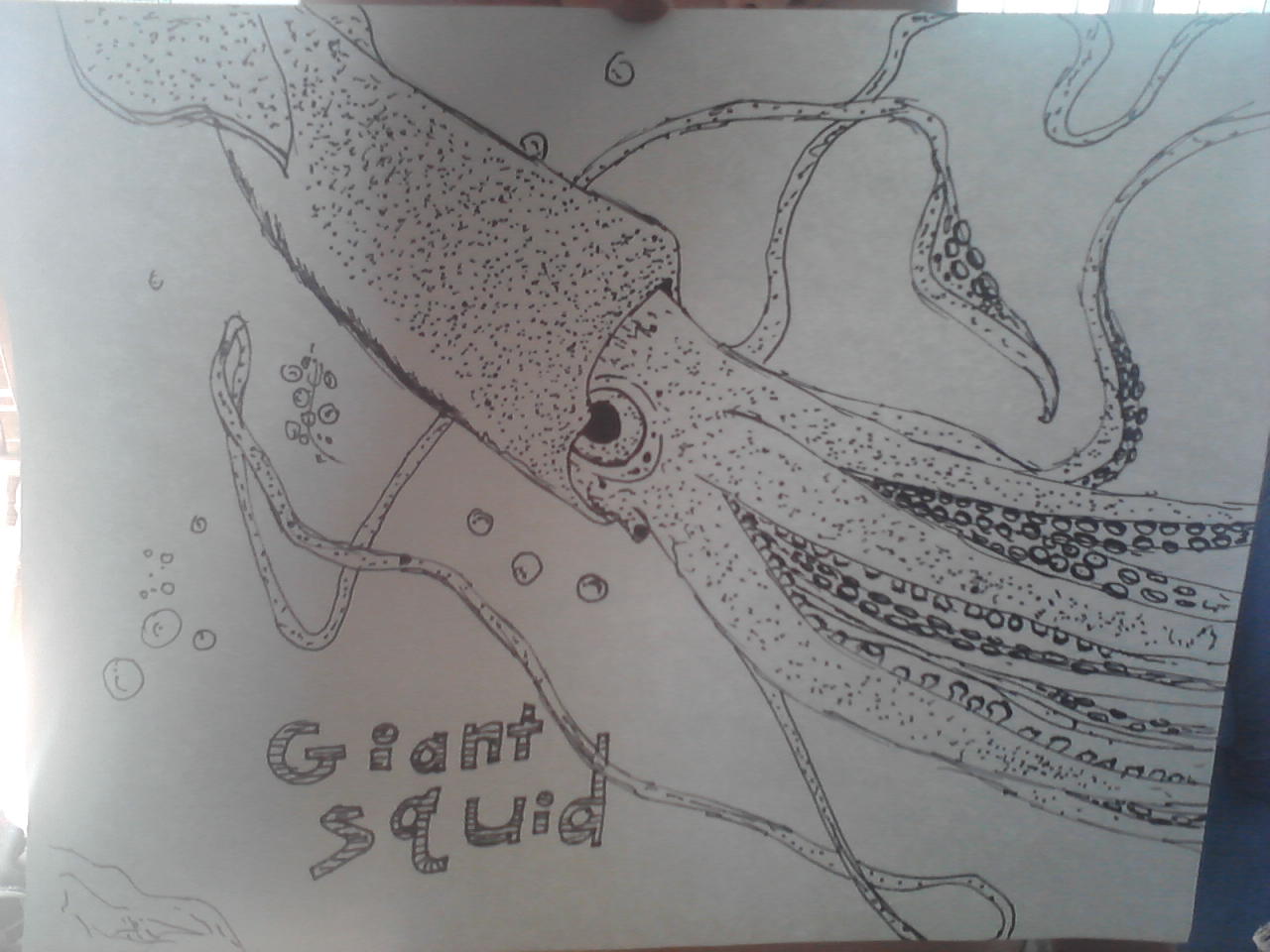 Giant Squid coloring page