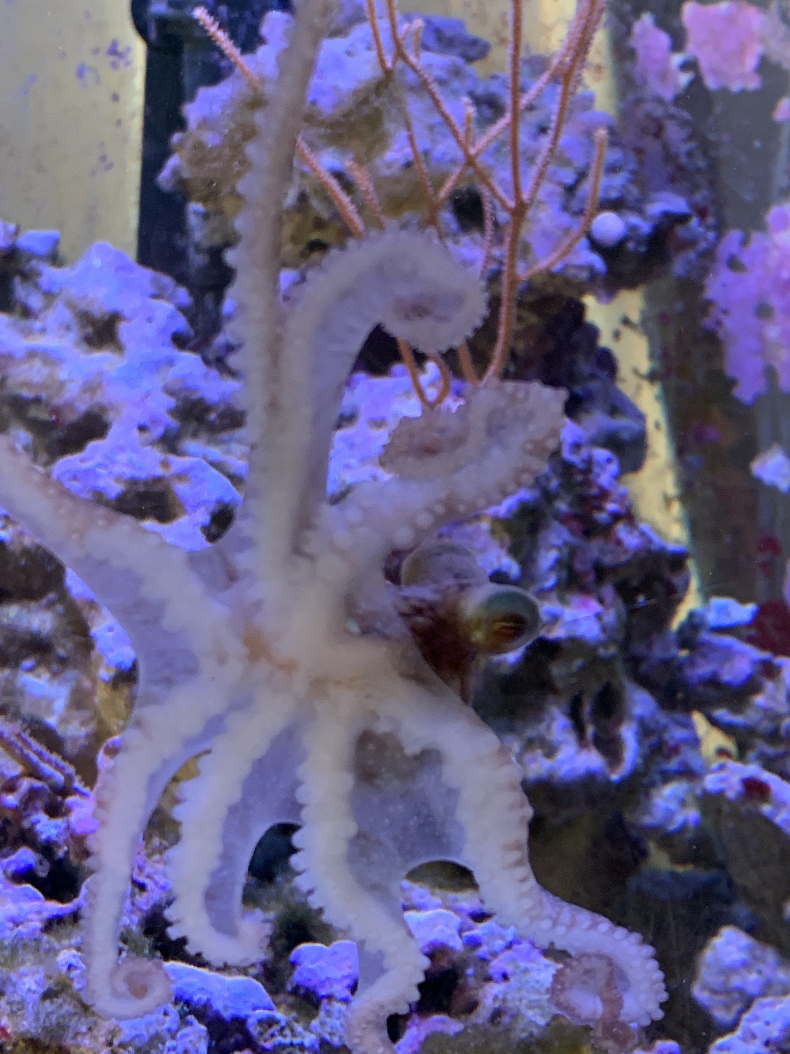 IMG_2252.jpeg