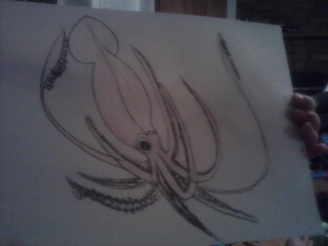scary collosal squid