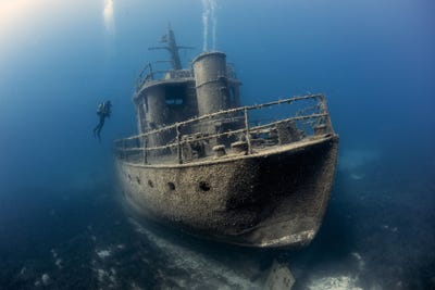 the-contest-isnt-just-about-animals-mehmet-ztabak-won-the-wrecks-category-with-this-photo-of-a-diver-exploring-the-pinar-1-shipwreck-in-bodrum-turkey.jpg