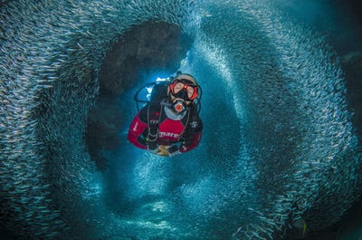 divers-get-a-separate-category-leena-roy-won-with-this-image-of-a-diver-swimming-through-a-tunnel-of-silverside-fish-in-the-cayman-islands.jpg