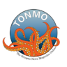 www.tonmo.com